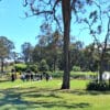 New Ethiopian Burial Lawn at Kemps Creek Memorial Park